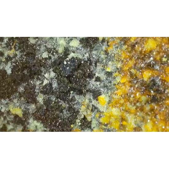 Magnesiopascoite With Postite & Carnotite