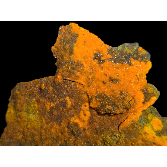 Magnesiopascoite With Postite & Carnotite