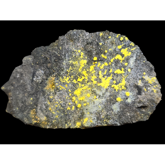 Uranophane With Natrozippeite On Coffinite & Uraninite