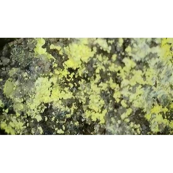 Lindgrenite & Powellite