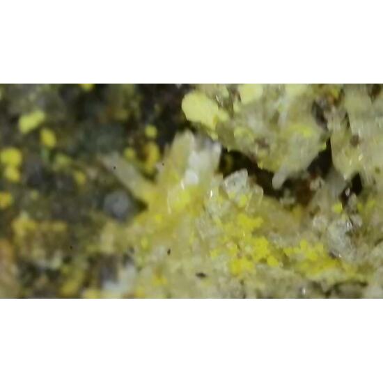 Lindgrenite & Powellite