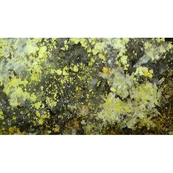 Lindgrenite & Powellite