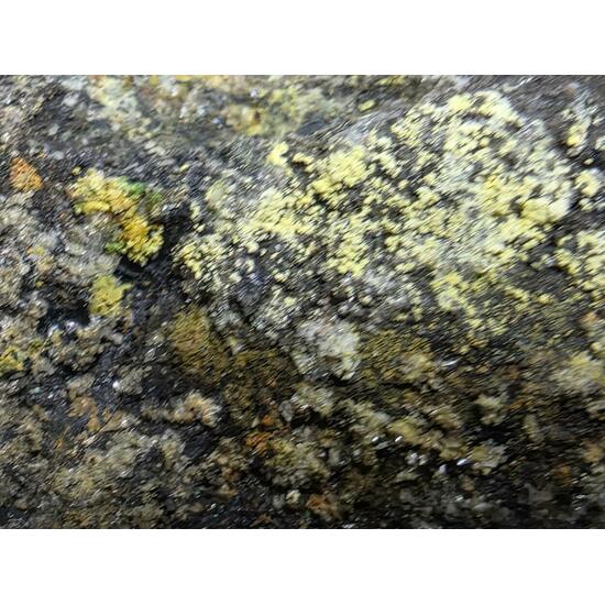 Lindgrenite & Powellite