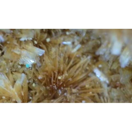 Deliensite On Uraninite With Ferricopiapite & Ferrinatrite