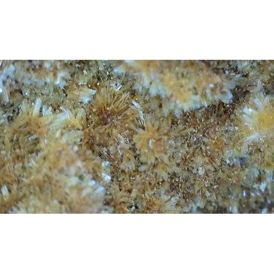 Deliensite On Uraninite With Ferricopiapite & Ferrinatrite