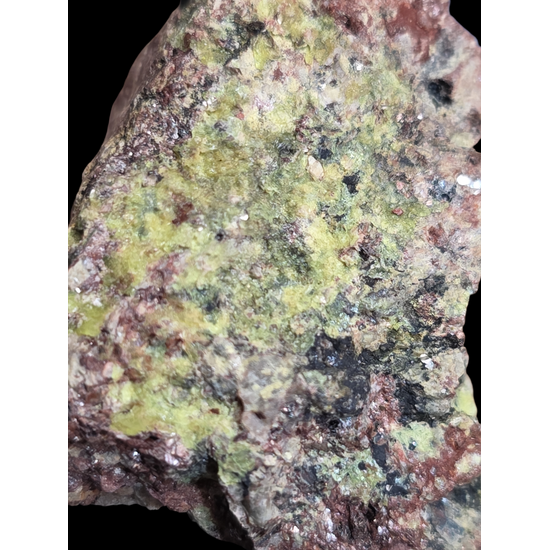 Urancalcarite & Rameauite With Uranophane On Uraninite