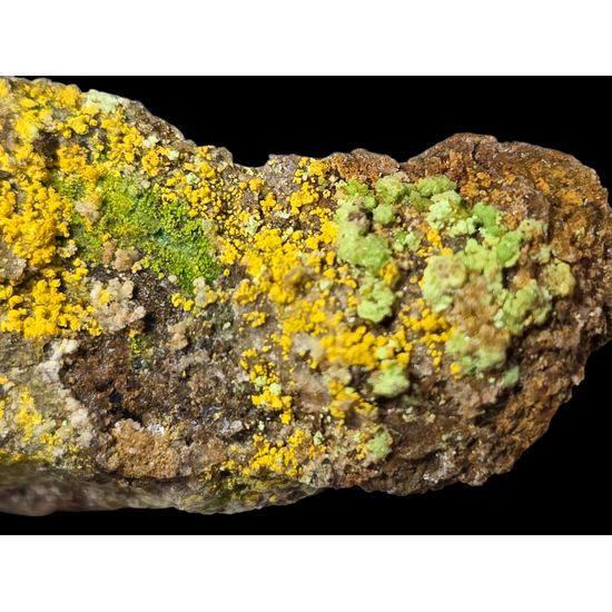 Natrozippeite With Natrochalcite & Johannite