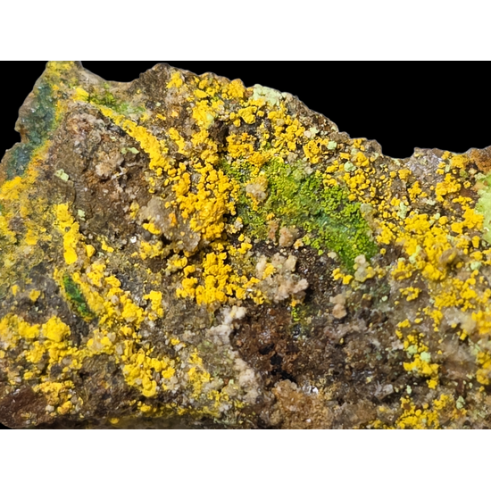 Natrozippeite With Natrochalcite & Johannite