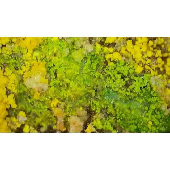 Natrozippeite With Natrochalcite & Johannite