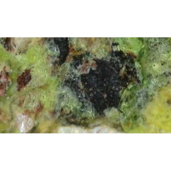 Urancalcarite & Rameauite With Uranophane On Uraninite