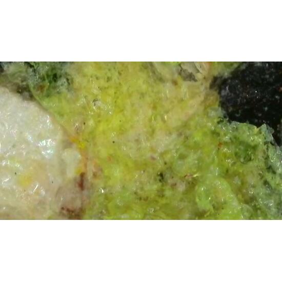 Urancalcarite & Rameauite With Uranophane On Uraninite