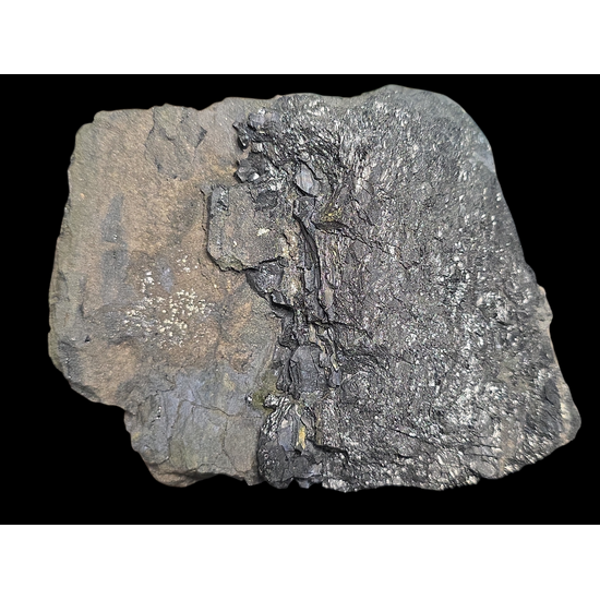 Coffinite & Uraninite Var Pitchblende