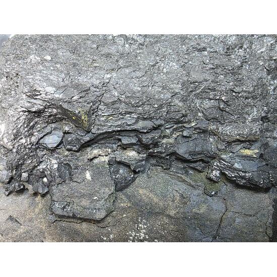 Coffinite & Uraninite Var Pitchblende