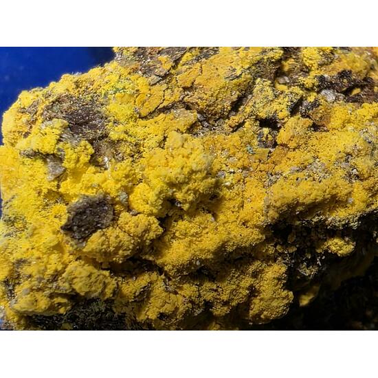 Natrozippeite On Uraninite