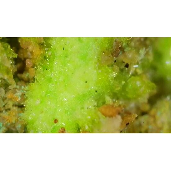 Johannite With Zippeite