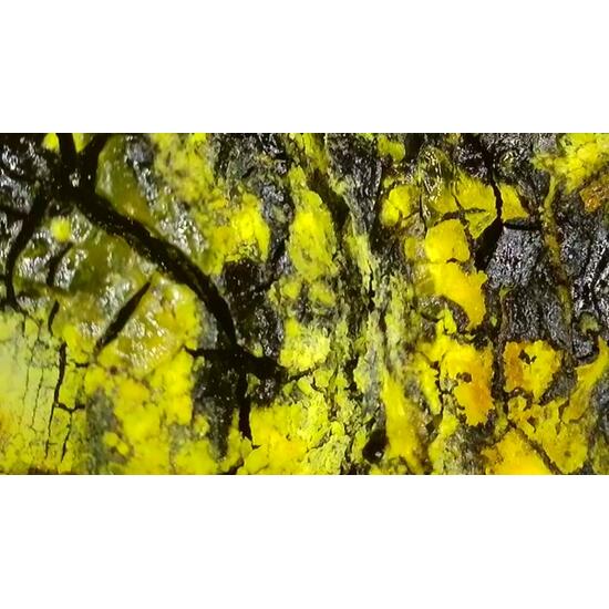 Uranopilite On Uraninite Psm Wood