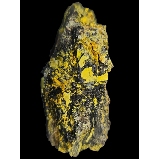 Uranopilite On Uraninite Psm Wood