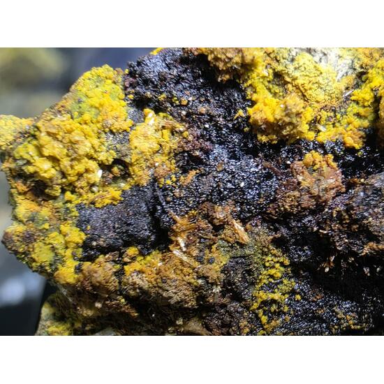 Schoepite With Rutherfordine On Uraninite