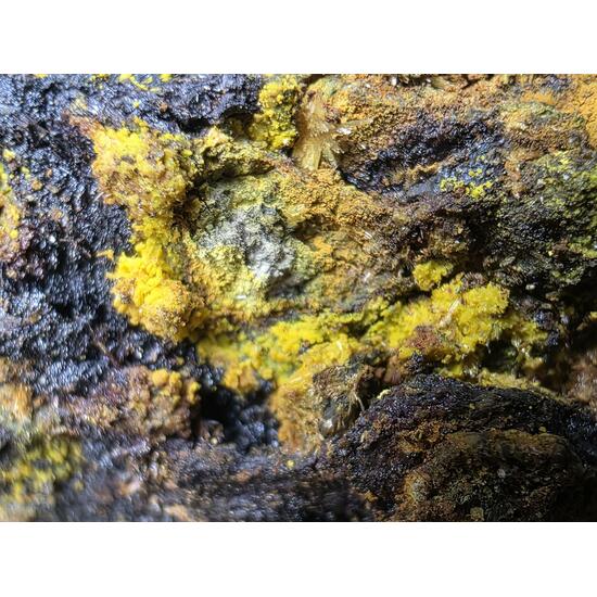 Schoepite With Rutherfordine On Uraninite