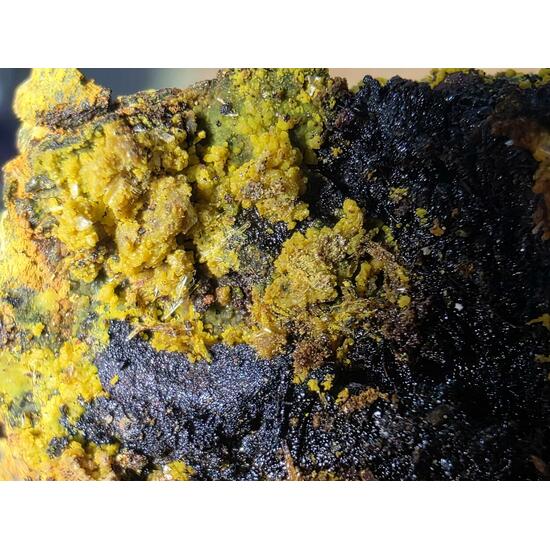 Schoepite With Rutherfordine On Uraninite