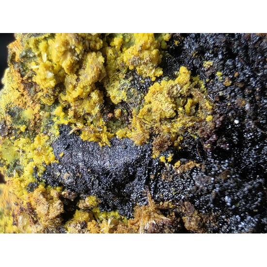 Schoepite With Rutherfordine On Uraninite