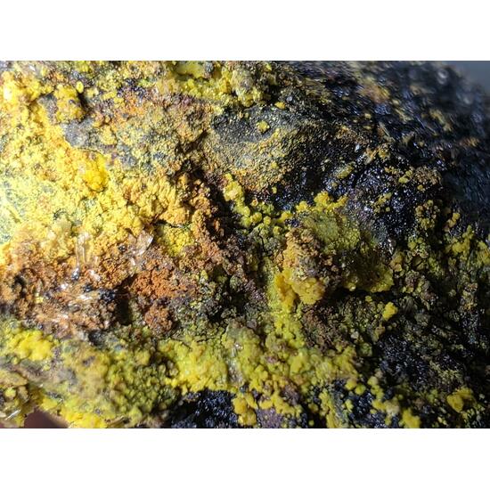 Schoepite With Rutherfordine On Uraninite