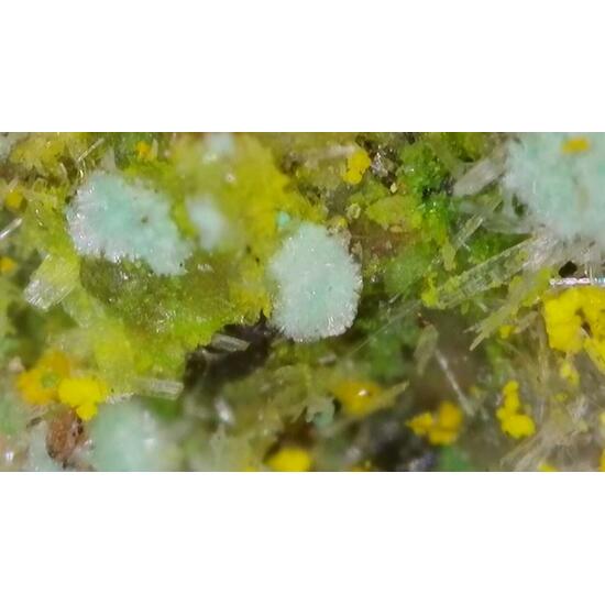 Pseudojohannite Natrozippeite Devilline & Bornite