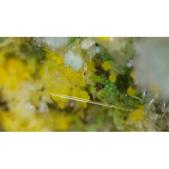 Pseudojohannite Natrozippeite Devilline & Bornite