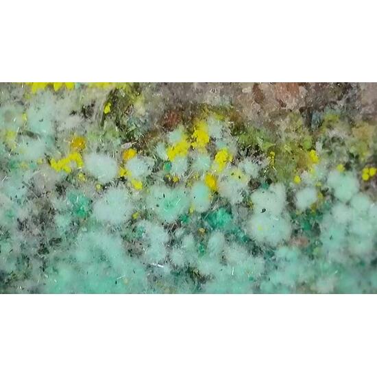 Pseudojohannite Natrozippeite Devilline & Bornite