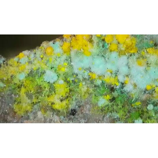 Pseudojohannite Natrozippeite Devilline & Bornite