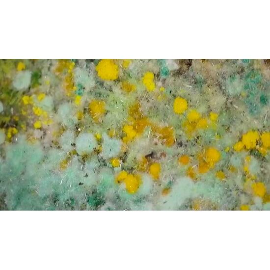 Pseudojohannite Natrozippeite Devilline & Bornite