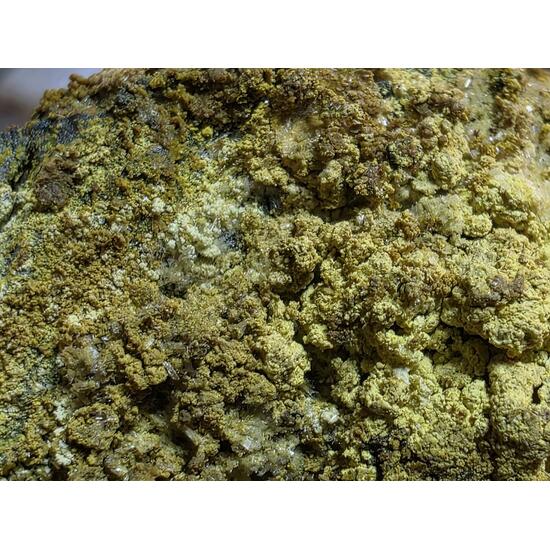 Schoepite & Rutherfordine On Uraninite