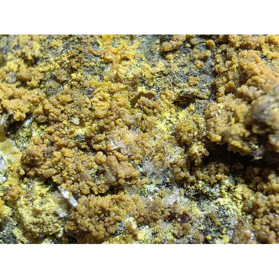 Schoepite & Rutherfordine On Uraninite