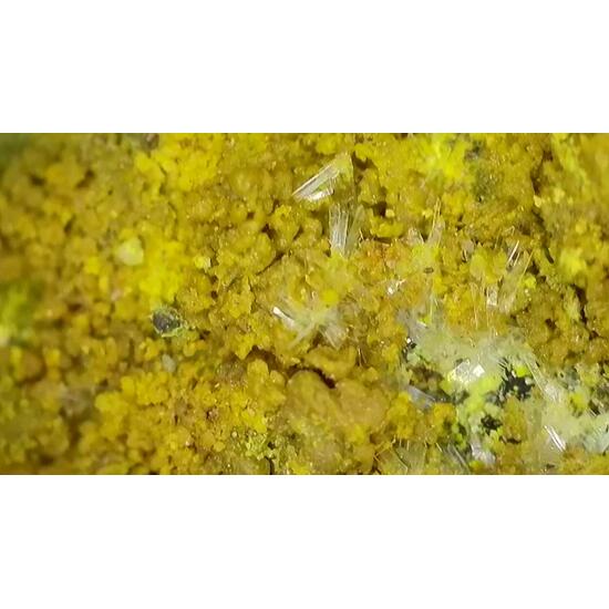 Schoepite & Rutherfordine On Uraninite