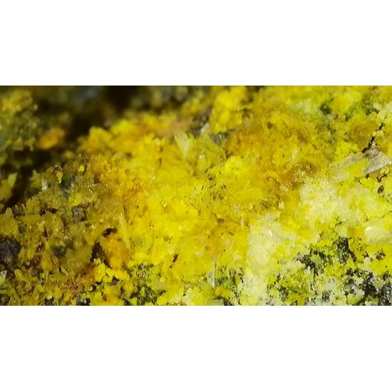 Schoepite & Rutherfordine On Uraninite