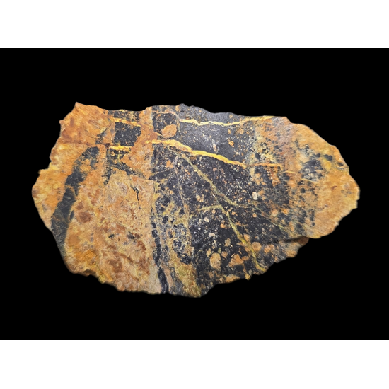 Uranophane With Gummite In Uraninite