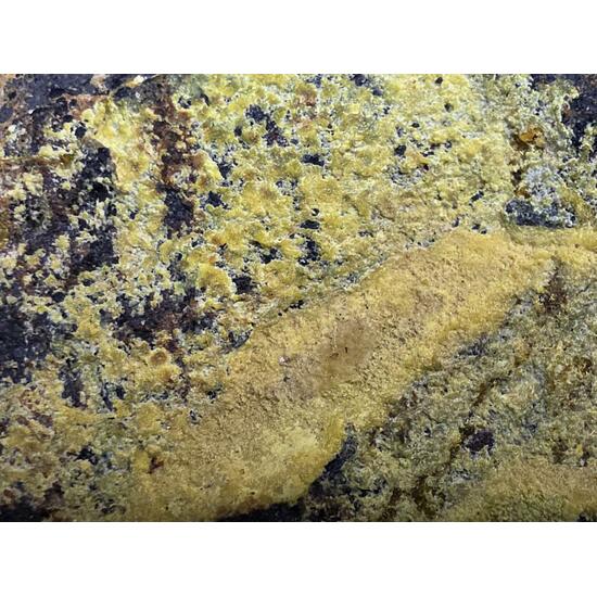 Uranophane With Gummite In Uraninite