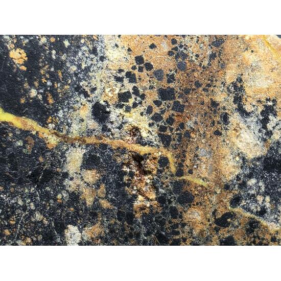 Uranophane With Gummite In Uraninite