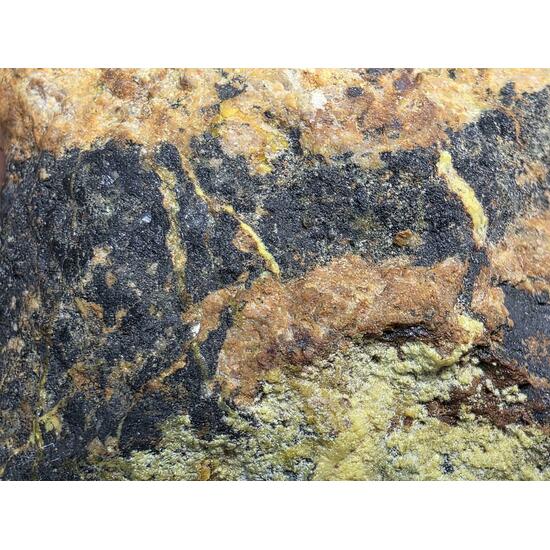 Uranophane With Gummite In Uraninite