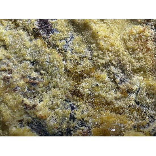 Uranophane With Gummite In Uraninite