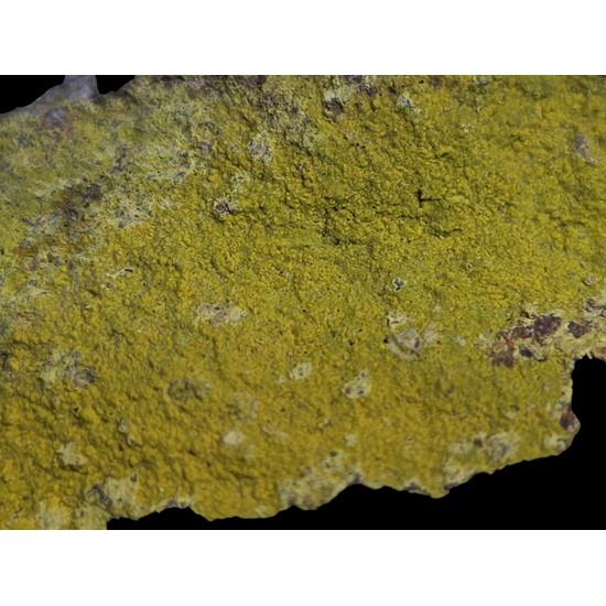 Carnotite On Sandstone