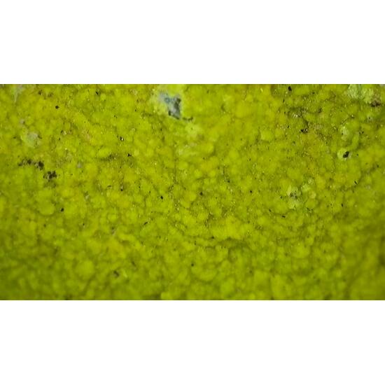 Carnotite On Sandstone