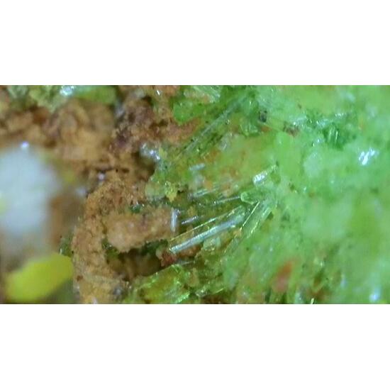 Johannite With Natrozippeite