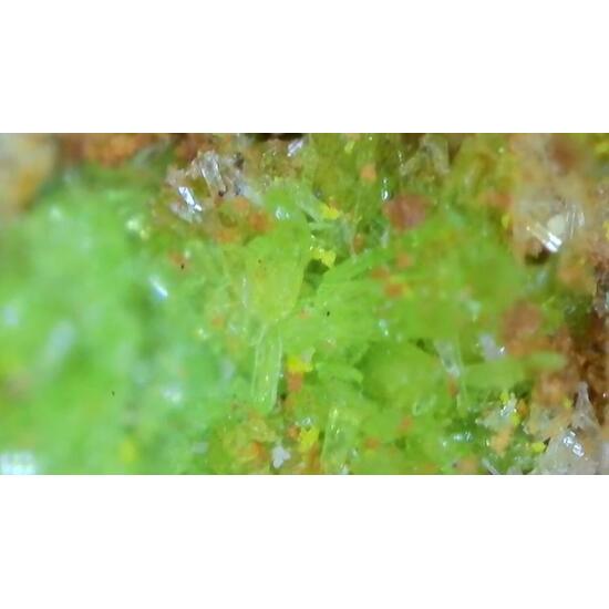 Johannite With Natrozippeite