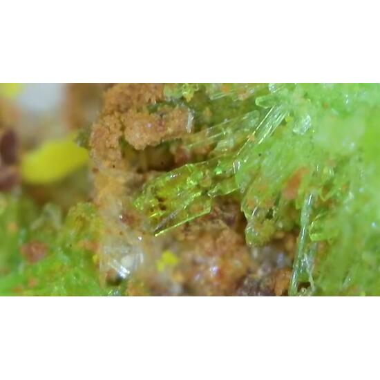 Johannite With Natrozippeite