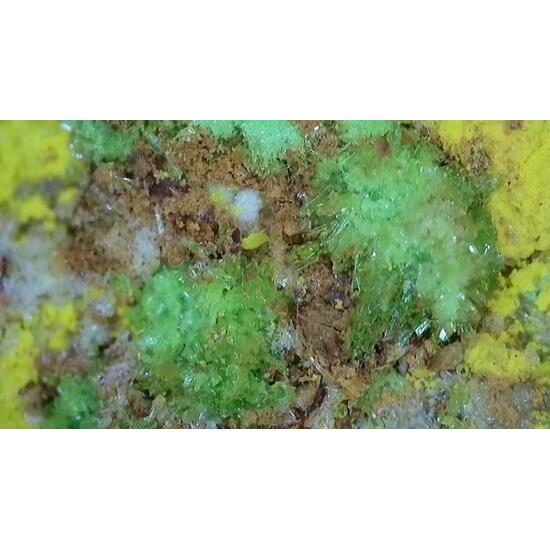 Johannite With Natrozippeite