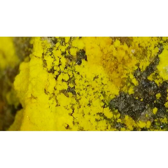 Johannite With Natrozippeite