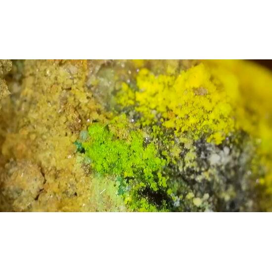 Johannite With Natrozippeite