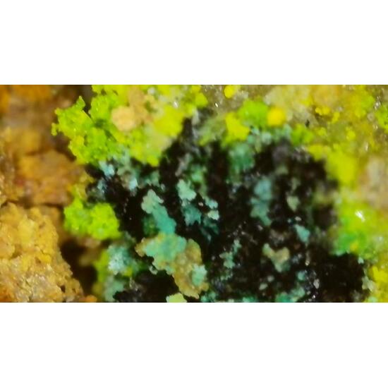 Johannite With Natrozippeite