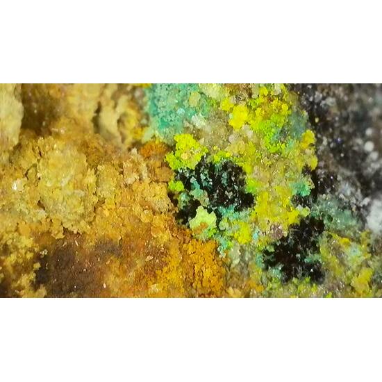 Johannite With Natrozippeite